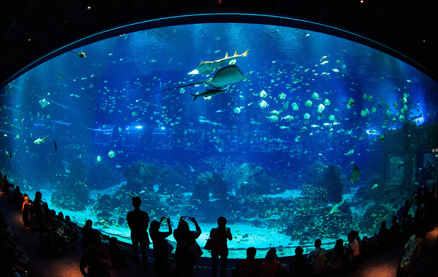 2024国家海洋博物馆游玩攻略,远古海洋展厅里充满了奇幻色...【去哪儿攻略】